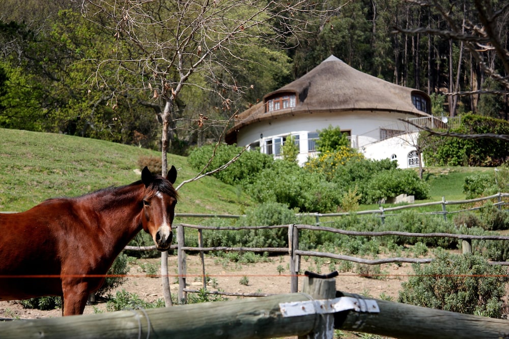 MontMartre Chalets and Guest House