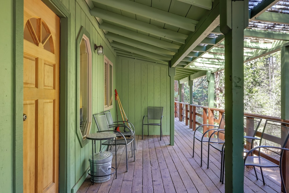 Stay Near Big Trees, Bring Your Pets: Arnold Cabin