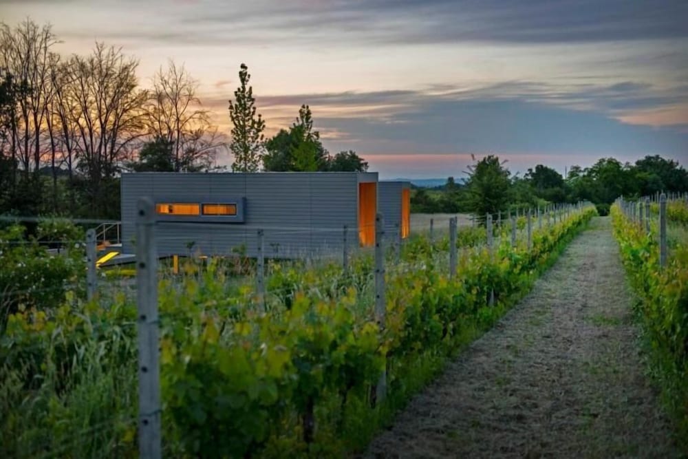 Eco Bio Agriturismo La Bella Vite