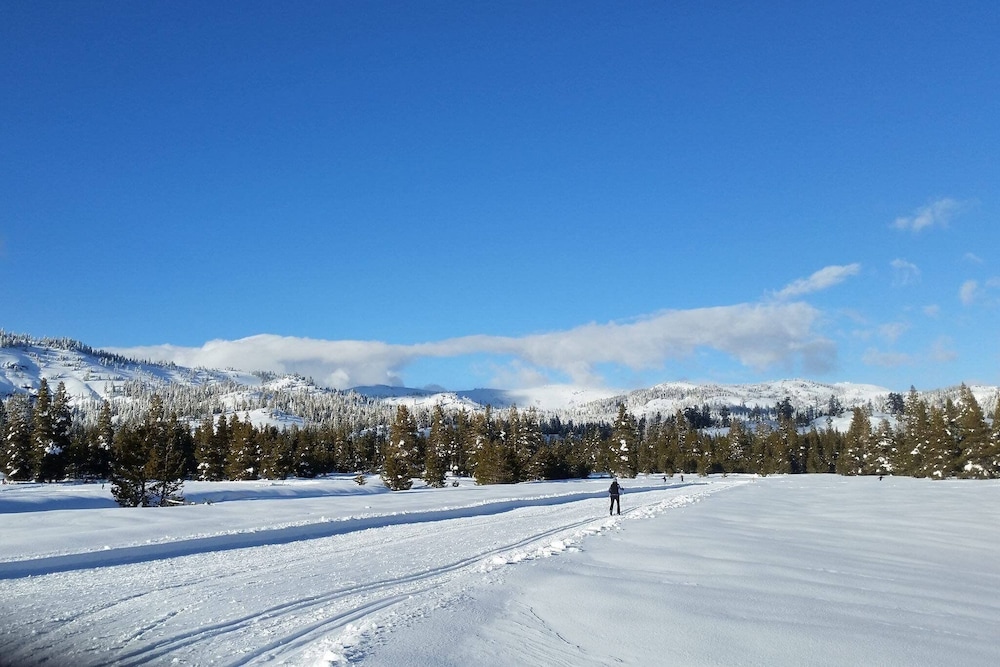 Cozy Condo With Fireplace - Tamarack #3 1 Bedroom Condo by Bear Valley Vacation Rentals