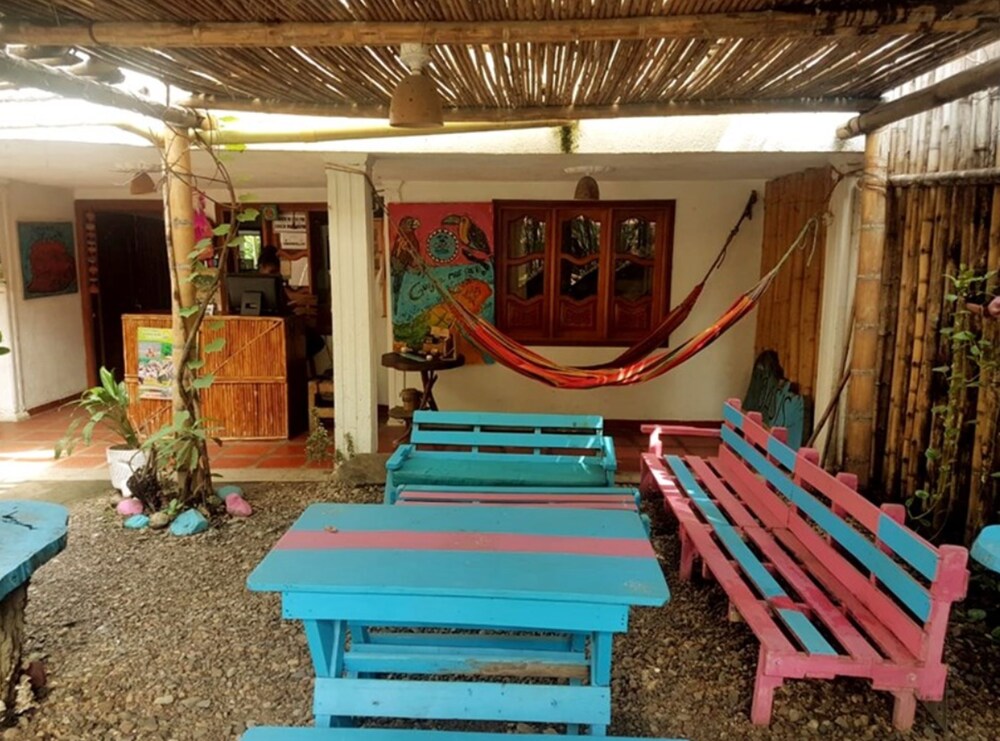 Photo 6