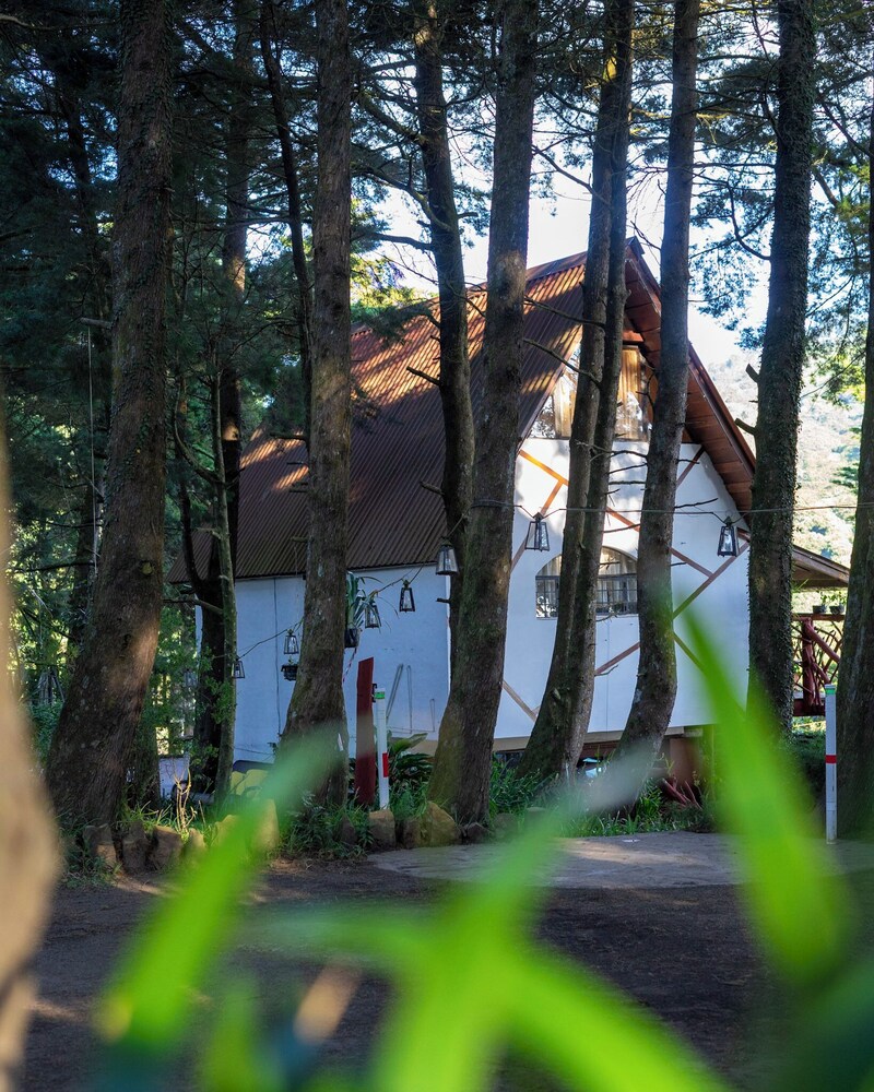 Los Naranjos Town Houses