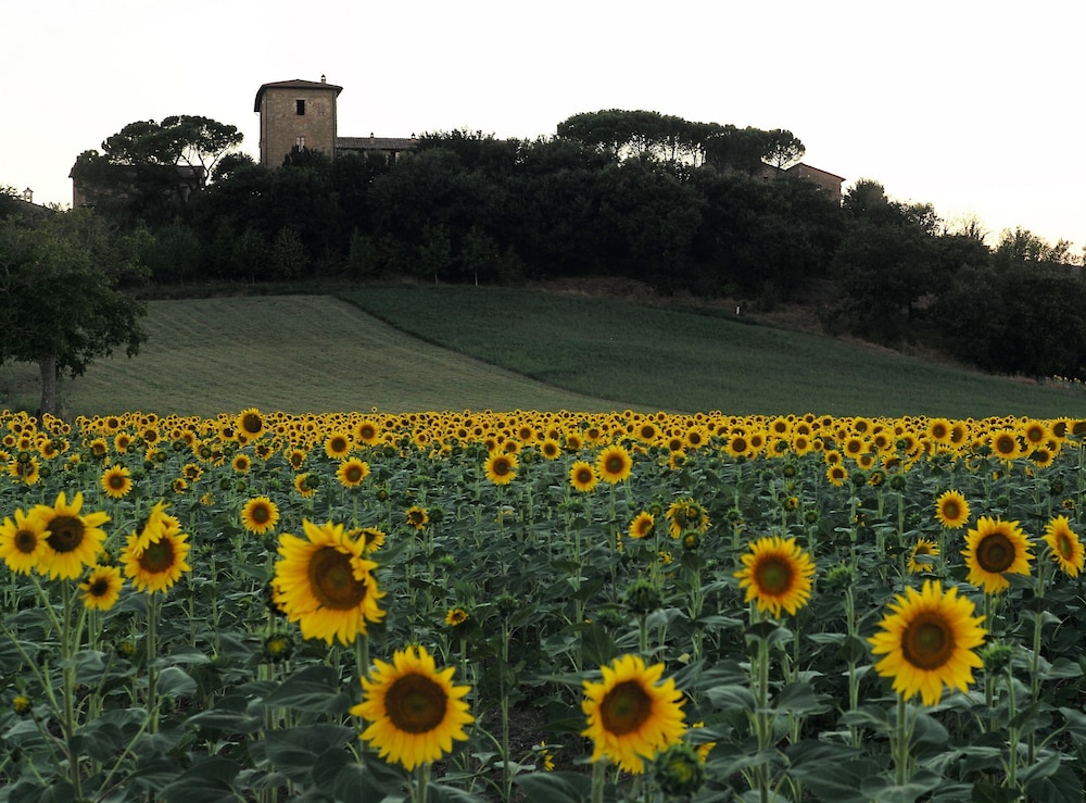 Castello Monticelli