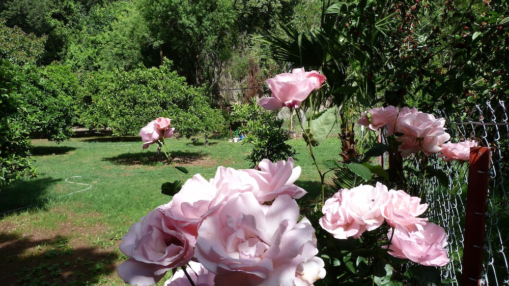 Simge Pansiyon - Image 19