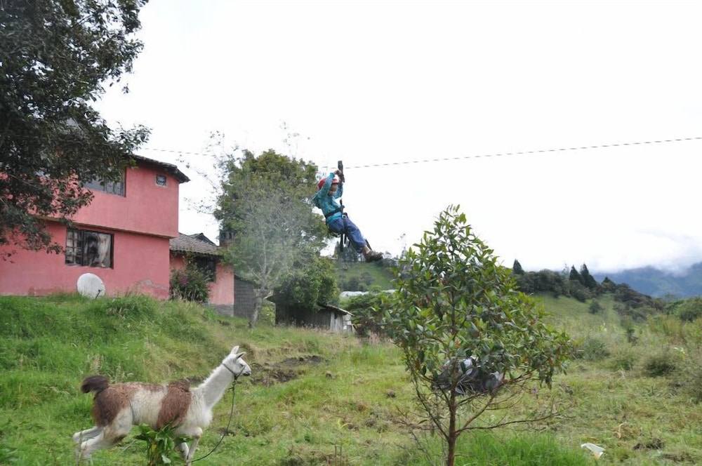 Rutun Orquídeas