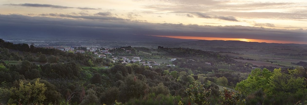 Domaine Michaud