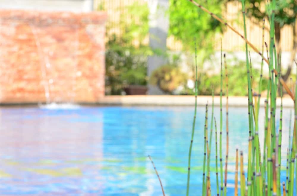 Veraneante Resort