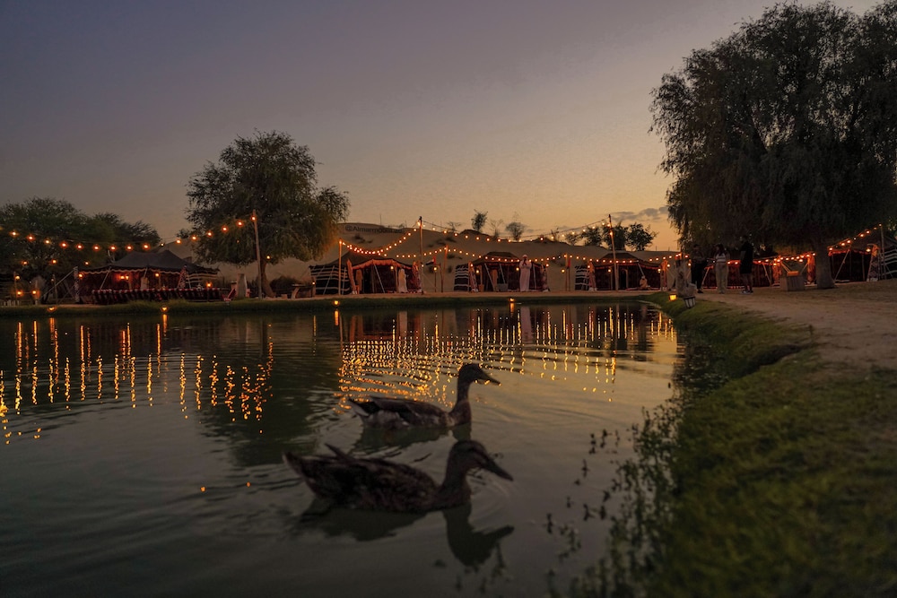 Al Marmoom Oasis Luxury Tents and Bedouin Experience