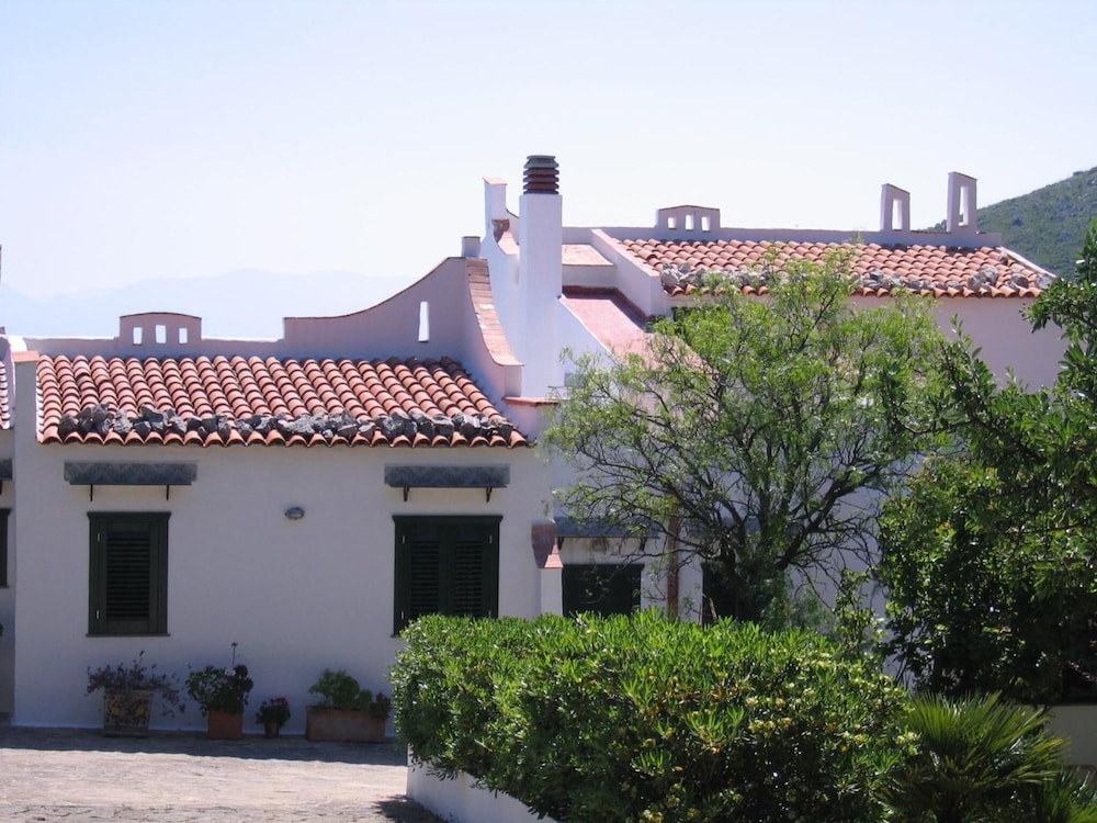 Photo 52