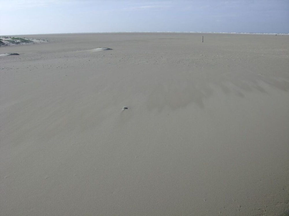 Beach Hair Friesian Residence