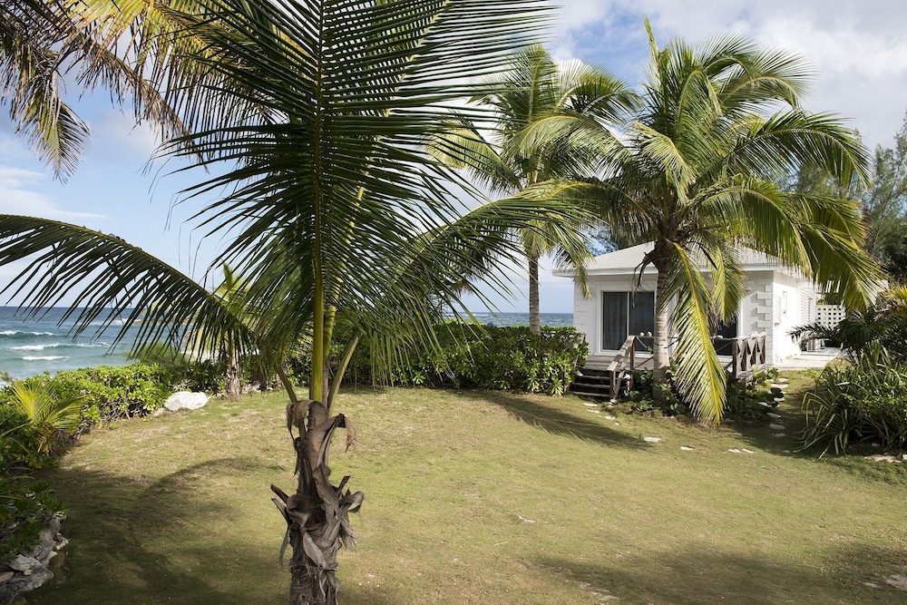 Med Point 1 Bedroom Home - Property Image 2