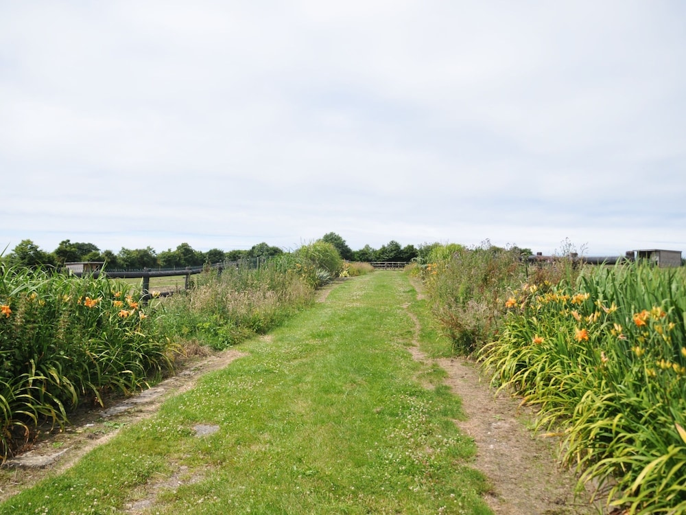 Le Domaine des Platanes