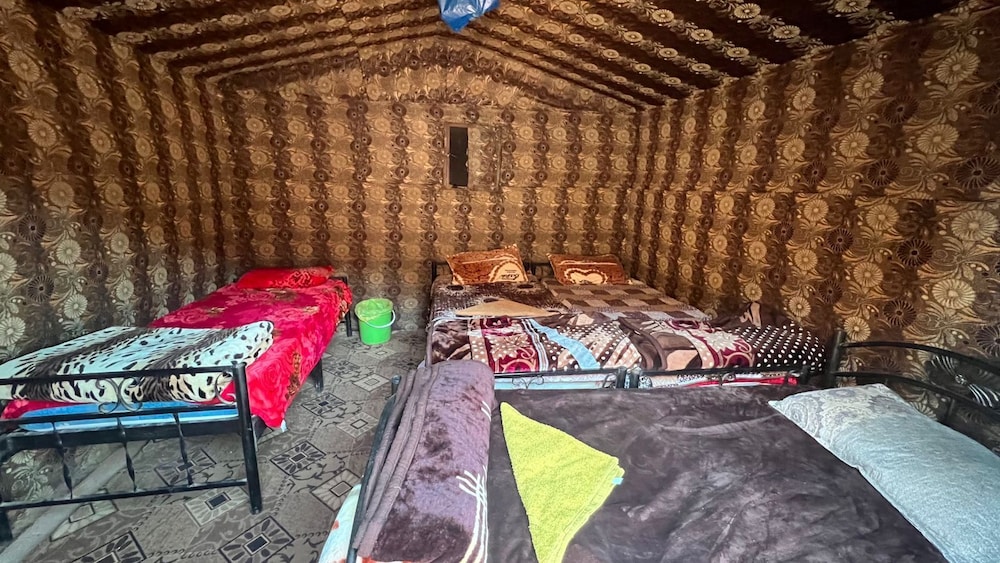 Wadi Rum Hikes & Camp