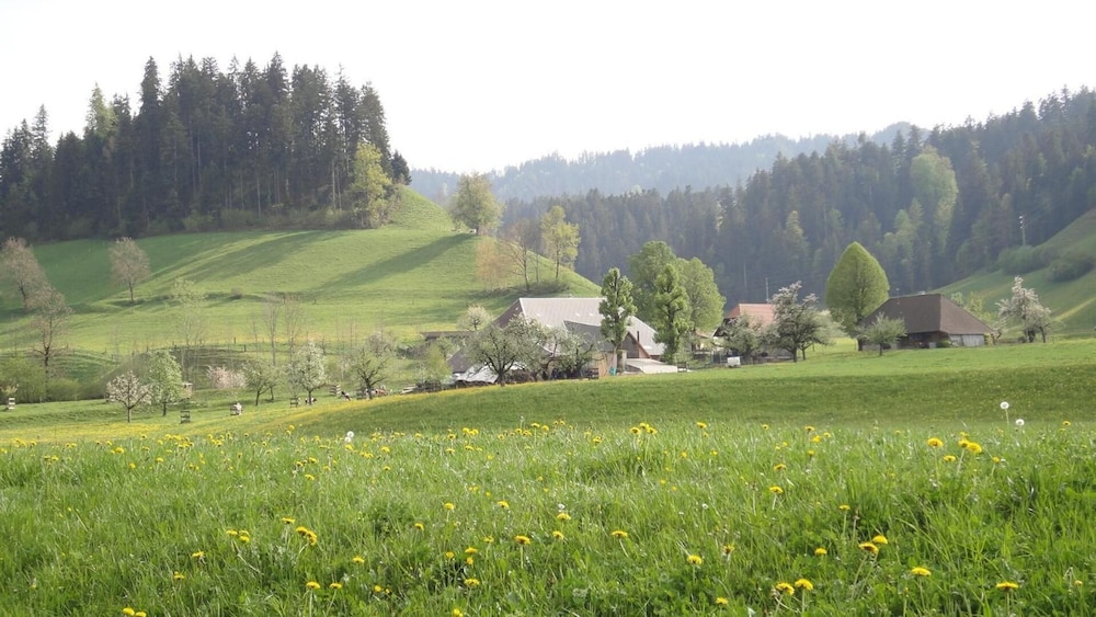 Landgasthof Adler