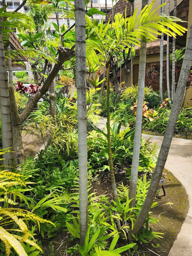 Kamaole Beach Club
