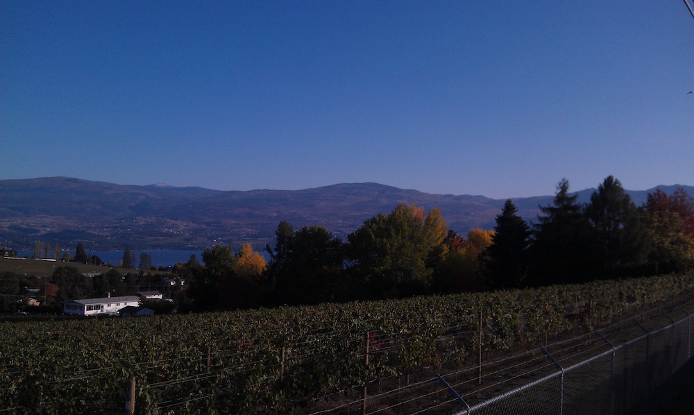 A View to Remember Bed & Breakfast