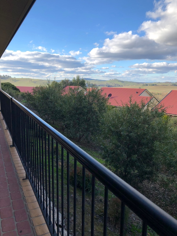 Turners Vineyard