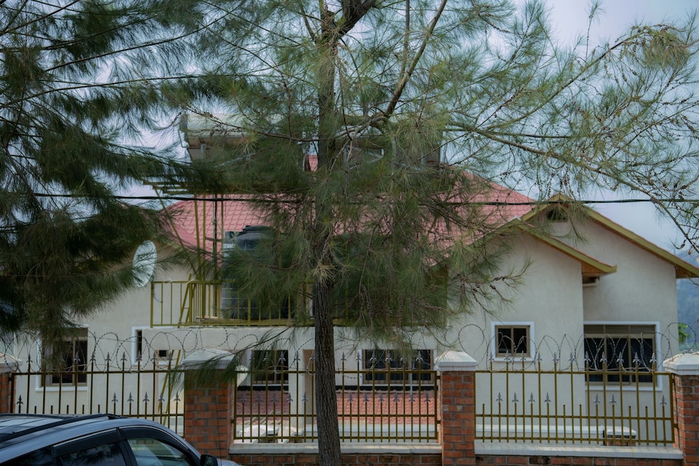 Photo 41