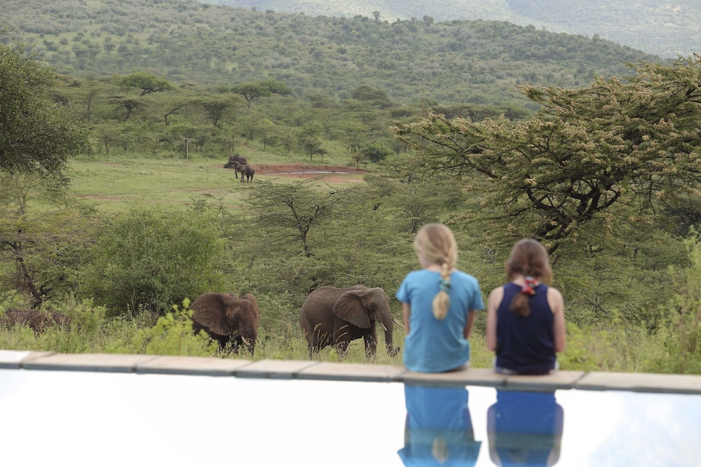 Spirit Of The Masai Mara