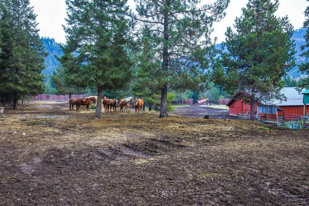 Black Diamond Guest Ranch Cabin w/ Lodge Access! view 3