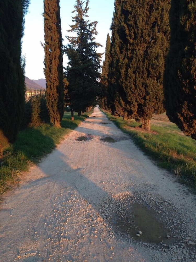 Photo 35