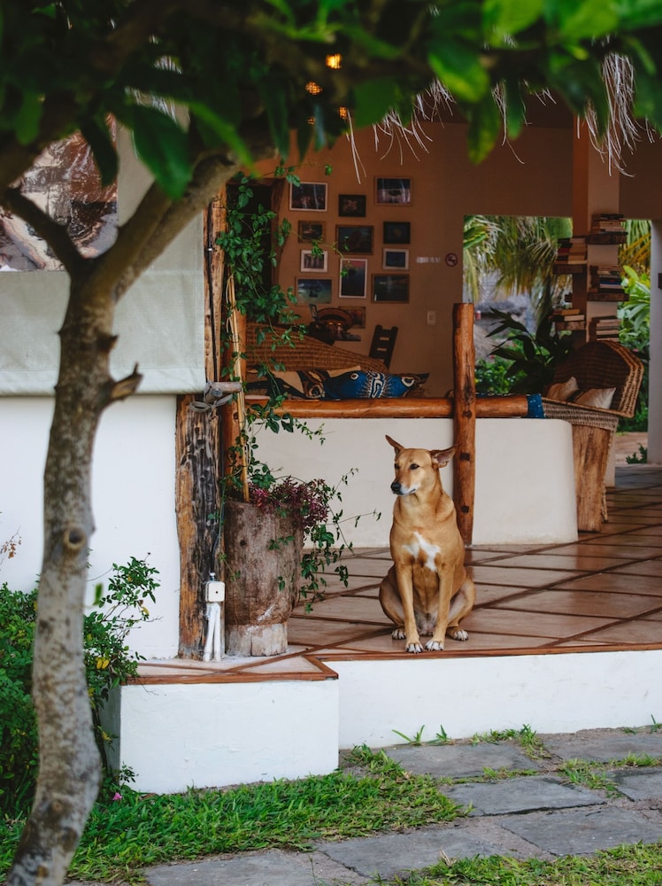 Casa Babi, photo 21