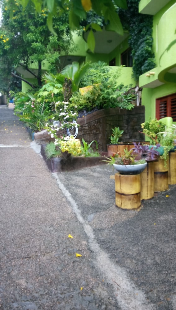 Bamboo Flat Residencial
