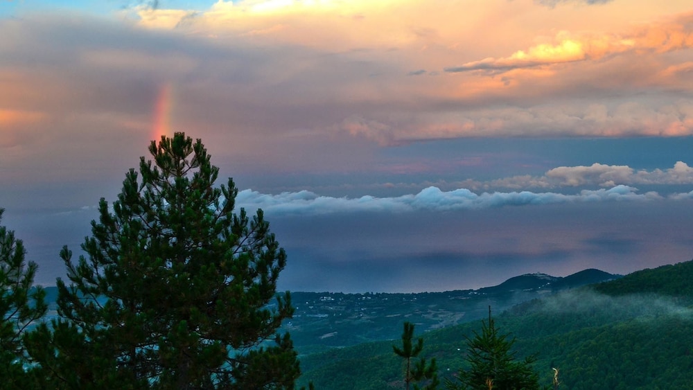 Apalni Cottage photo 2