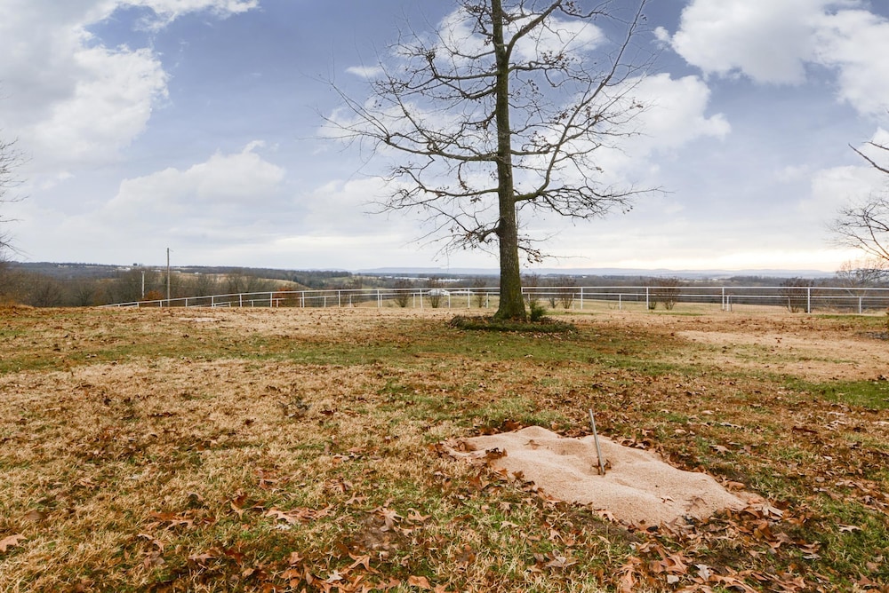 Omaha Vacations - Llama House - Property Image 5