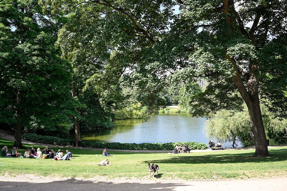 Photo 21