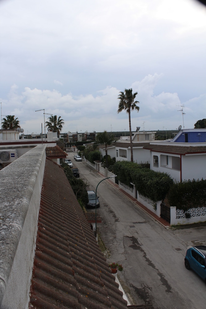 Luca's House