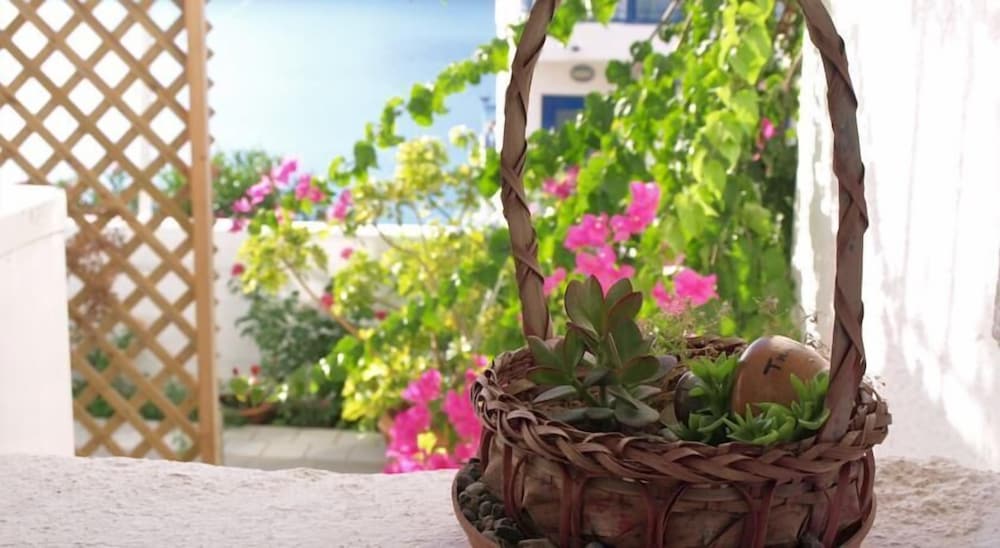 Michalis Studios