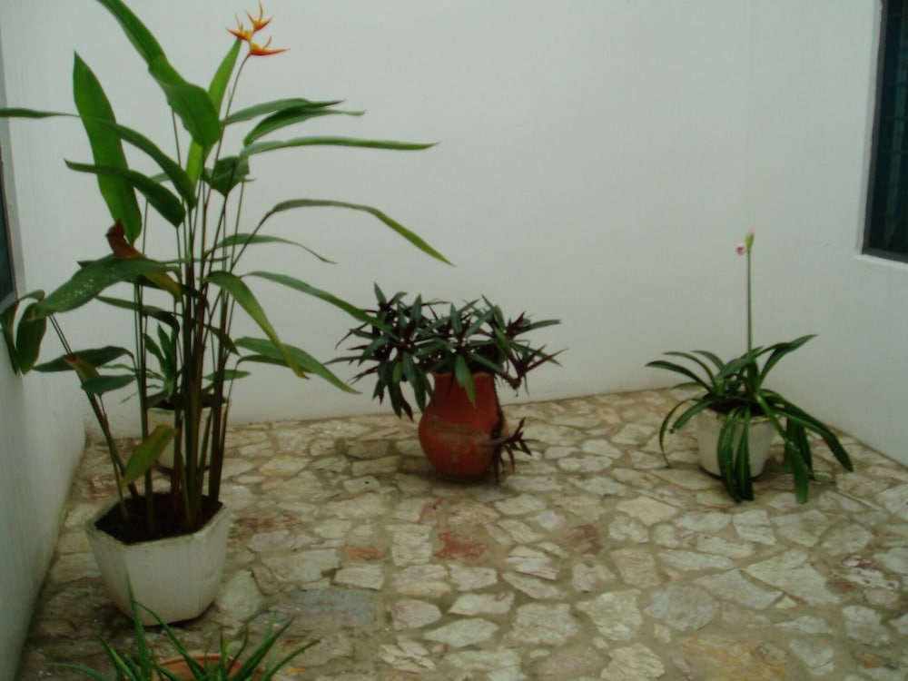 Photo 20