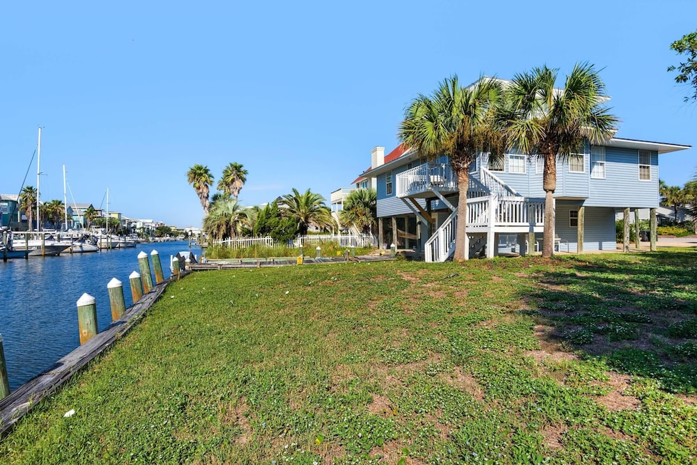 Leaning Palms