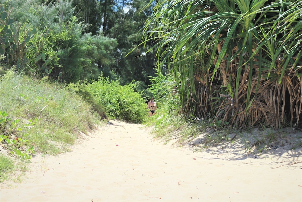 Under the coconut tree - Hostel