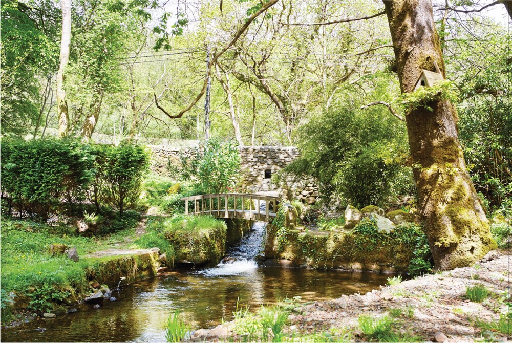 Afon Rhaiadr Country House