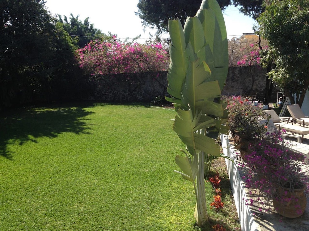 Photo 20
