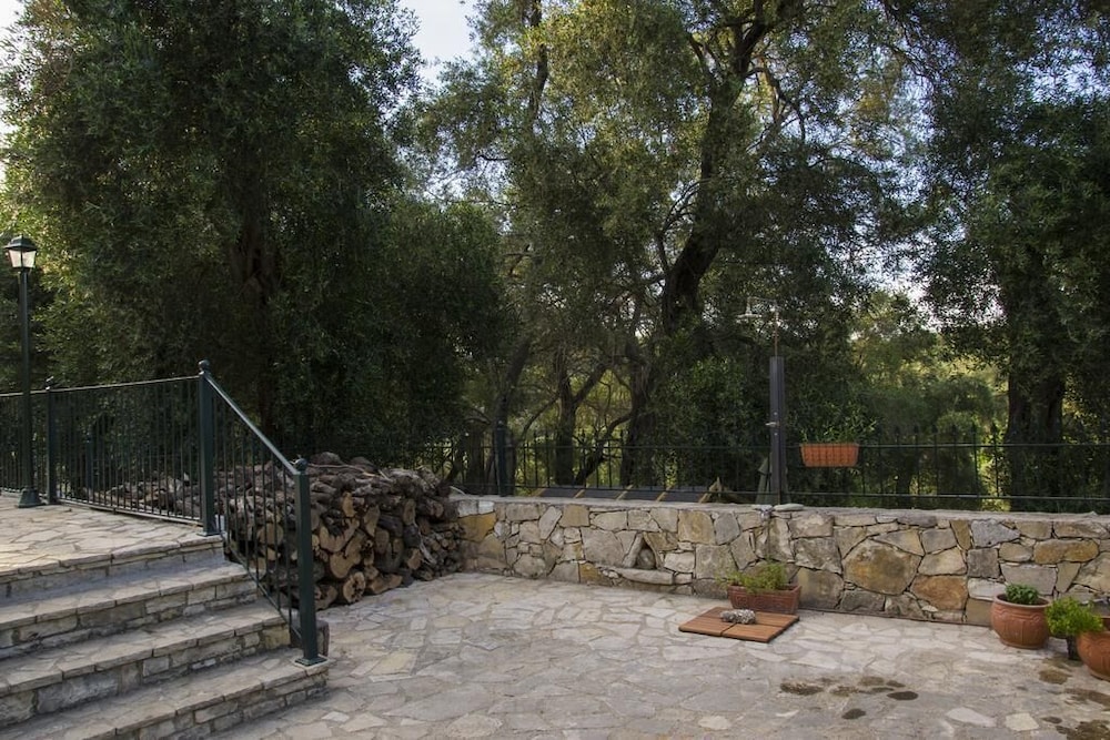 Photo 29