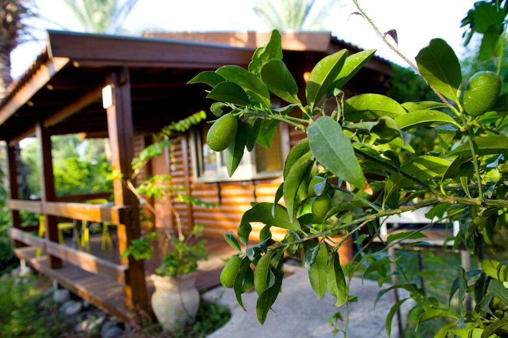 Naomi's B&B view 4