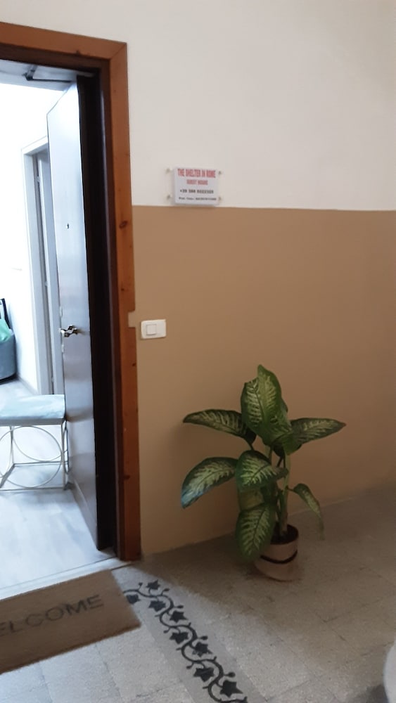 THE SHELTER IN ROME