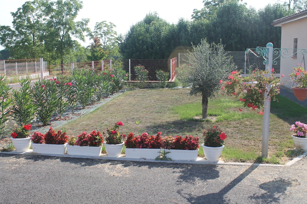Photo 12