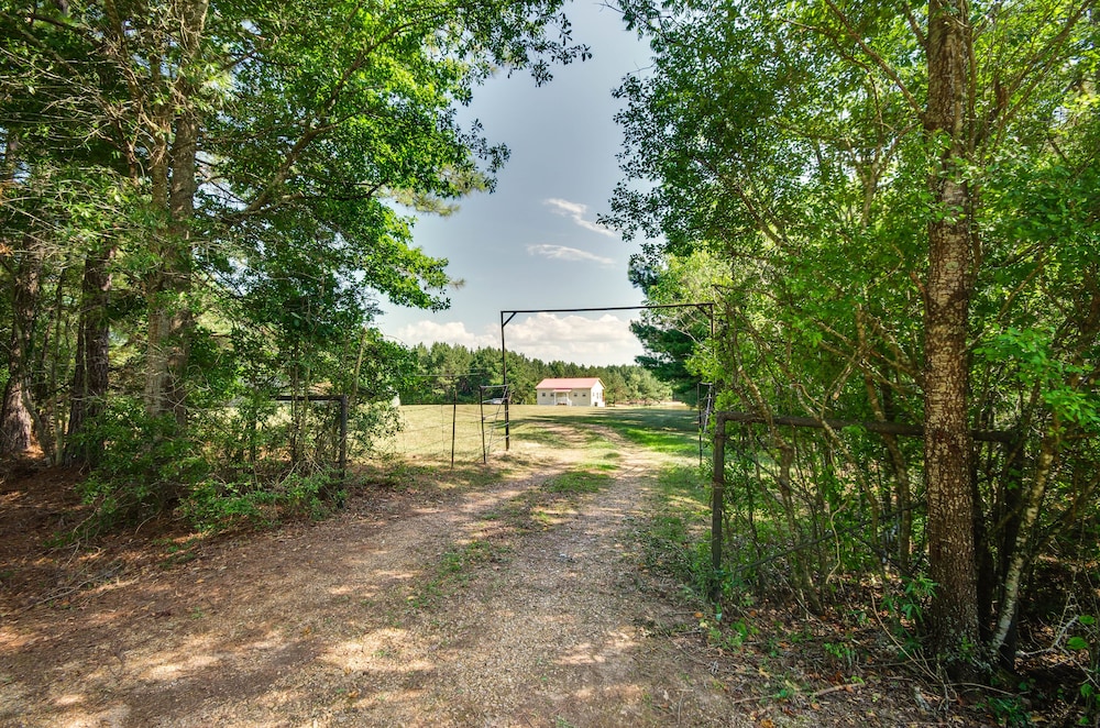 Cozy Summit Cabin w/ Hiking Trails  Fishing Pond! - Property Image 10