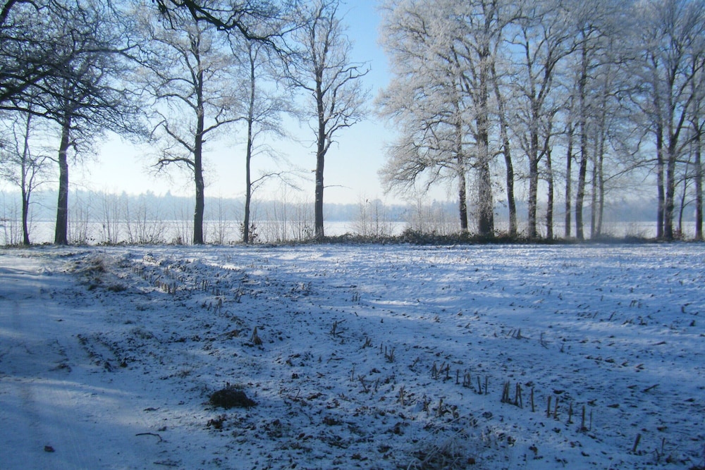 Holiday Home in Heeten Near Forest Trails view 5