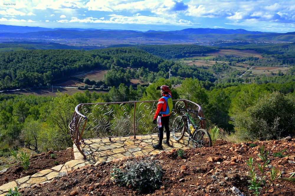 Photo 23