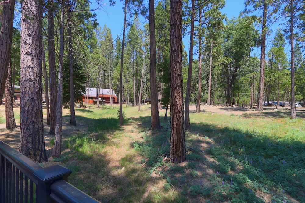 The Terry Cabin