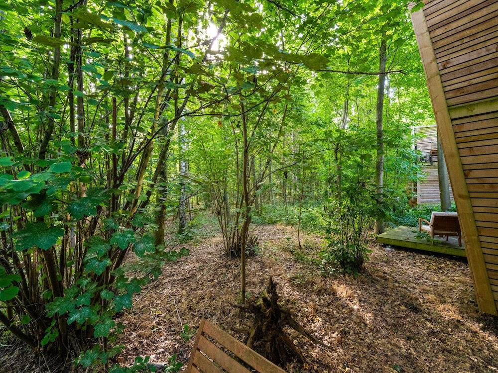 Peaceful Forest Escape