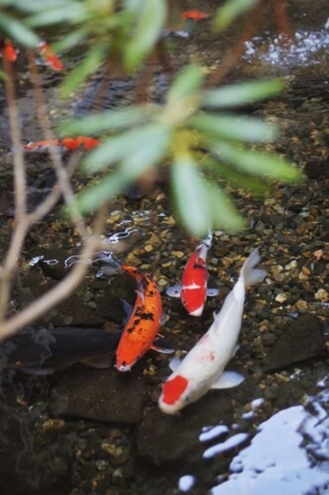 Kanbayashi Hotel Senjukaku