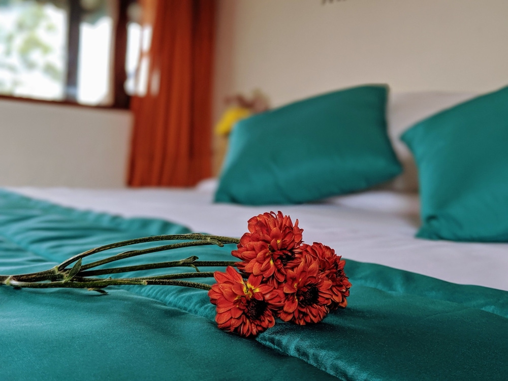 Hostal Venus de Valdivia