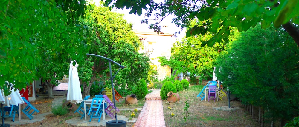 Photo 23