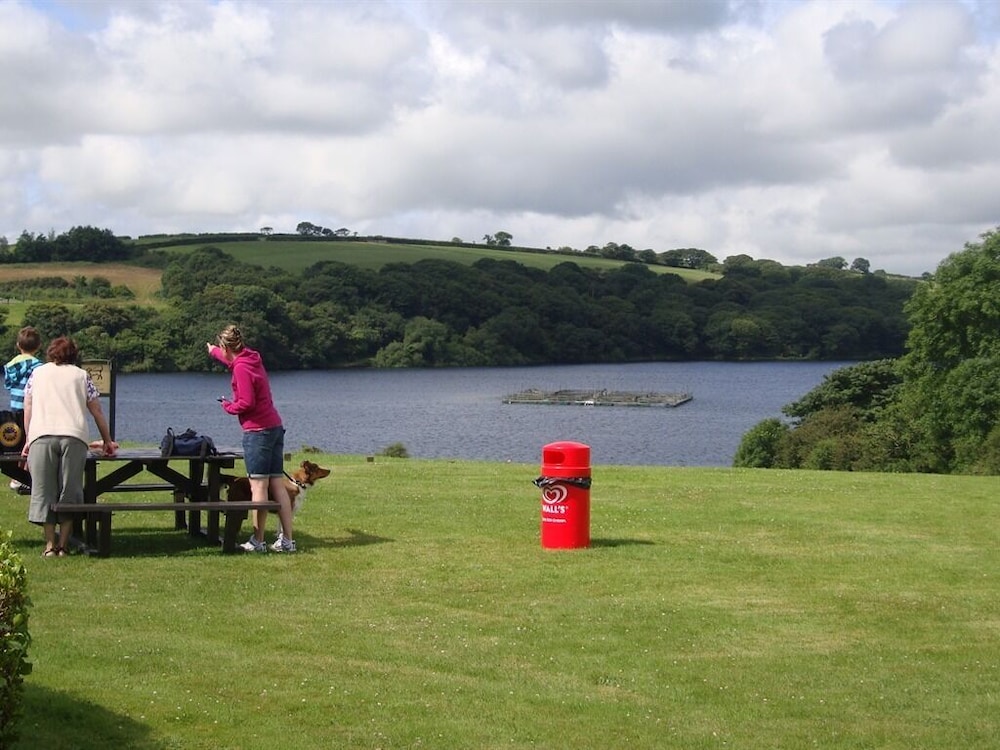 Llysyfran Farm B&B